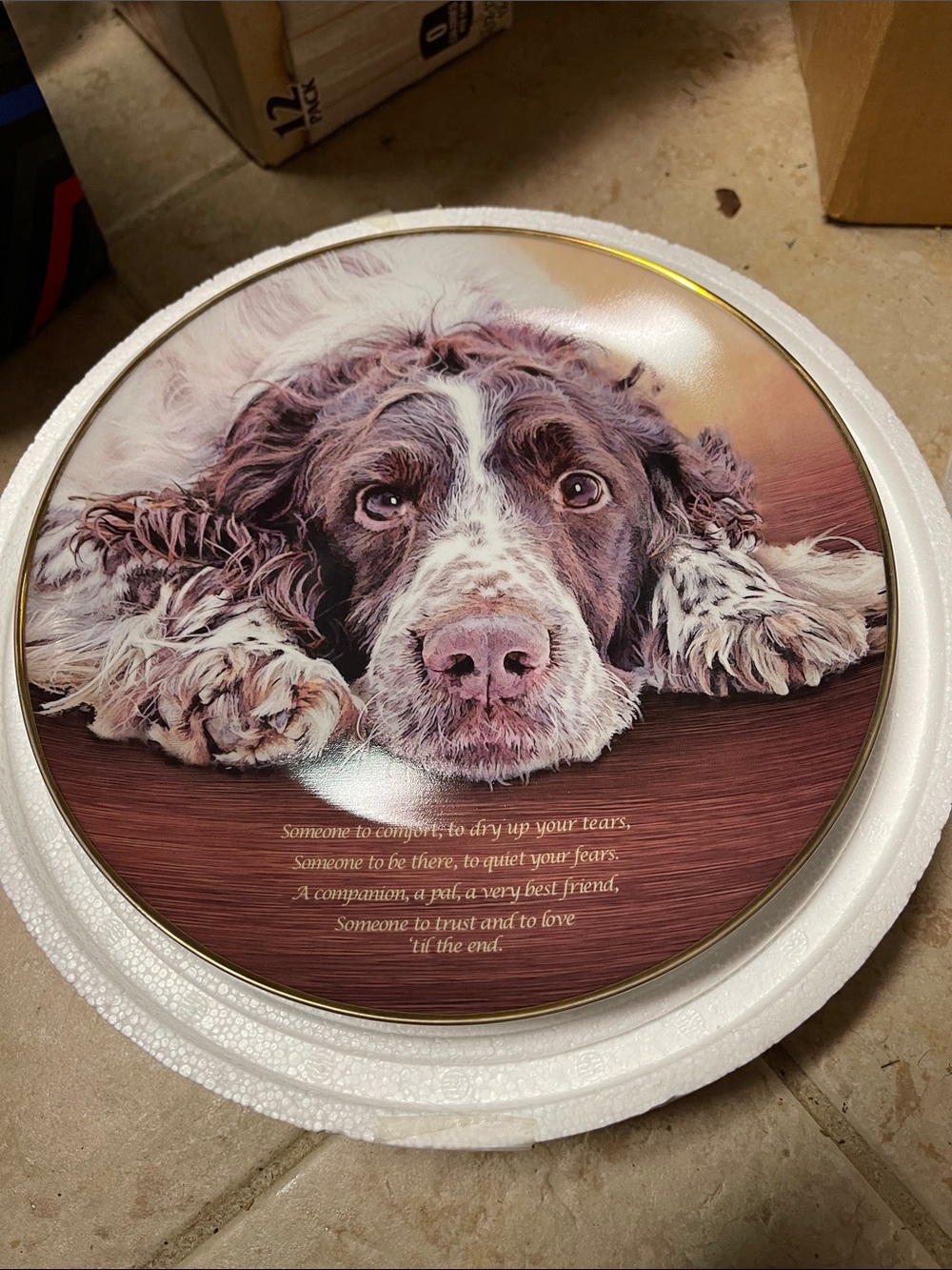 Danbury mint Springer Spaniel collectable plate
